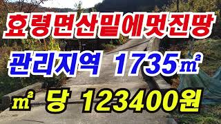 시퀀스 02 1효령면주택지(물건번호140)산밑에멋진땅1735㎡ /㎡ 당123400원  매매 추천