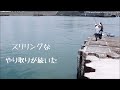 モンスター現るin田子の浦港