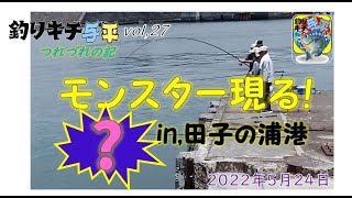 モンスター現るin田子の浦港