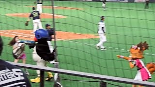 ＜2018.6.17ヤクルト戦＞キッズチャレンジバズーカ2日目のつば九郎はファイターズガールに加えポリーちゃんにも狙いを定める