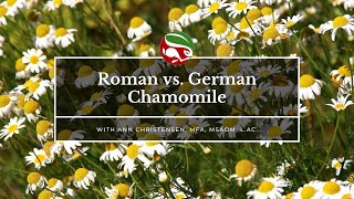 Roman vs. German Chamomile