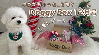 【Doggy Box】ちょっと中身がヤバい...と噂の12月号開封！忖度0な愛犬のリアルな反応