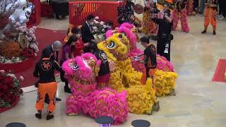 郭氏功夫金龍醒獅團 Kwok's Kung Fu \u0026 Dragon Lion Dance Team 太古廣場 Pacific Place 20230130 初九