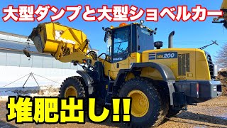 【運搬!!】大型ダンプと大型ホイールローダーで牛糞堆肥を出してみた!!iPhone11で撮影!!dung compost with a large dump truck