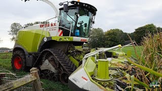 Mais hakselen met Claas Jaguar 940 op rups. Loonb. Entjes B.V. Slochteren.