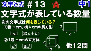 【中１数学 文字と式】＃１３　文字式が表している数量　※文字式の意味の読み取り方を解説！全１６問