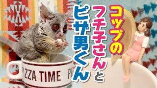 【コップのフチ子さんとコップのピザ男くん】ショウガラゴのピザトル／Pizzatoru the Bushbaby