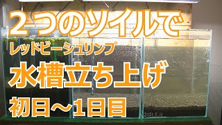 リベラソイルとアマゾニアソイルを使ってビーシュリンプ水槽を立ち上げました# 34【ビーシュリンプ水槽立ち上げ】【アクアリウム】