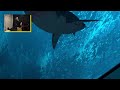 I turned my LIVING ROOM into an AQUARIUM - Ocean Rift VR