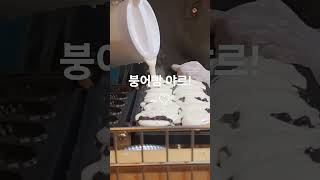 붕어빵 야르 #금모래마당펜션 #김제가볼만한곳 #김제치유농장금모래마당