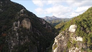 ALAS of Japan - Mitake Shosenkyo Gorge［御岳昇仙峡4K空撮］