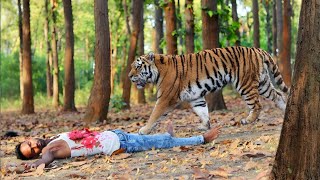 Royal bangal tiger attack | tiger attack man in forest fun mode movie #tiger #animal @wildfighter