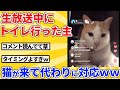 【2ch動物スレ】飼い主が生配信中にトイレ→寝てた猫が来て対応開始ｗｗｗｗｗ