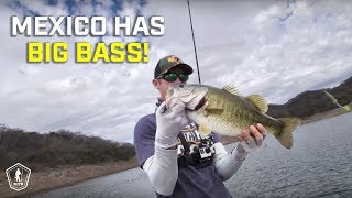 Fishing Tips For All 3 Phases Of The Bass Spawn With LFG!