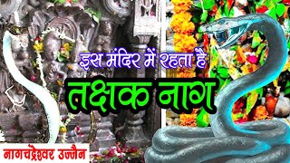 नागचंद्रेश्वर मंदिर का रहस्य | यहाँ रहता है तक्षक नाग | Nagchandreshwar Ujjain Nag Panchami | #Naag