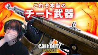 【CoD:WW2】新武器「AS-44」がおかしい。これぞ本当のチート武器！【GreedZz】