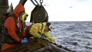 How's This For A Wake Up Call? A Deckhand Gets Snagged By A Hook On The Wizard