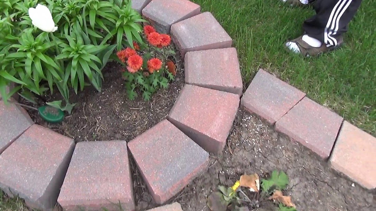 Spring Flowers Blooming Youtube