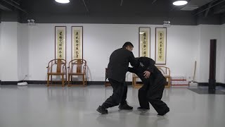 八极拳（bajiqaun）胡玉涛老师示范什么叫“鹿伏鹤行熊低身”