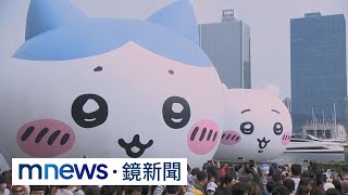 「吉伊」游高雄港見小八貓、兔兔　吸引近20萬人爭睹｜#鏡新聞