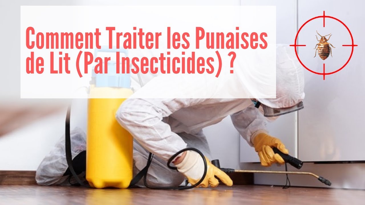 Comment Traiter Les Punaises De Lit - Punaise De Lit Traitement - YouTube