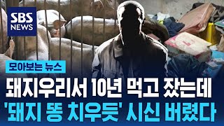 돼지우리서 10년 먹고 잤는데…'돼지 똥 치우듯' 시신 버렸다 / SBS / 모아보는 뉴스