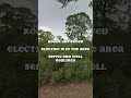 1 4 acre for sale in fl for $11 900. dm for more. realestate landcentury landcenturycom shorts