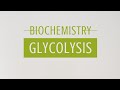 biochemistry lecture (glycolysis )