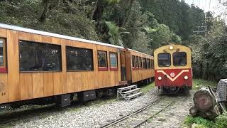 2024-09-15 阿里山號 十字路車站 通過