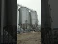 4-500T hopper silos for soybean