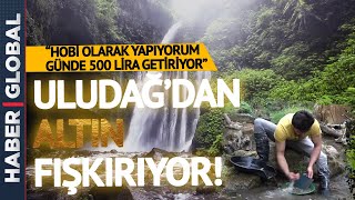 "Hobi Olarak Yapıyorum Günde 500 Lira Kazanıyorum" | Uludağ'ın Eteklerinden Altın Fışkırıyor