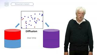 Diffusion by Sergey Panyukov