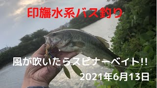 印旛水系バス釣り　風が吹いたらスピナーベイト　2021年6月13日