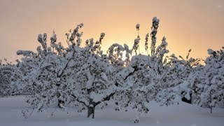 横笛奏者　佐藤ぶん太、～空に舞う七色の雪～　rainbow snow flying in the sky.