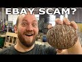 Dinosaur Egg Fossil Cut in Half- Real or Fake eBay Scam?