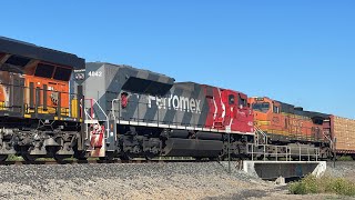 FXE 4042 in New Paint Trails on a BNSF Manifest at Burnham!