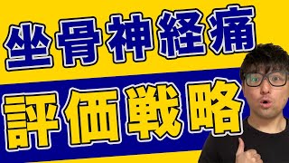 【学校じゃ教えない】坐骨神経痛の考え方を解説