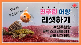 진주린어항 리셋하기 | 백스크린붙이기, 바닥재세팅 | pearlscale goldfish tank reset