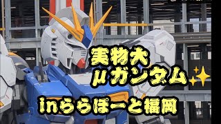 【ららぽーと福岡】μガンダムと同じ目線😁