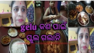 gelu କଣ ପାଇଁ ସ୍କୁଲ ଗଲାନି//🥰 ଘରେ ଆଜି ପନିରି ତରକାରି//👌ଥଣ୍ଡା ଛାଡ଼ିକି ଯିବନି ମୋତେ