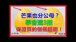 芒果也分公母？【公芒果】更甜教你3招，保證個個超甜都是公芒果