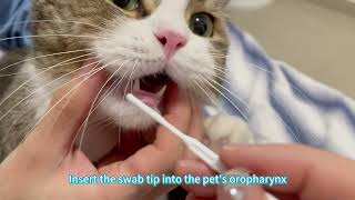 Sample Collection Video for Pluslife Veterinary Tests