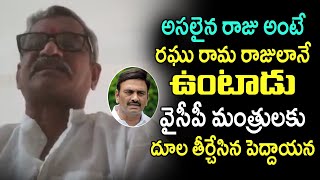 అసలైన రాజు అంటే రఘు రామ రాజులానే ఉంటాడు | Old Man Shocking Comments on Ycp Ministers | Telugu Today