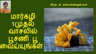 மார்கழி 1முதல் வாசலில் பூசணி பூ வைய்யுங்கள்  Dhanur / Maargazhi month specials