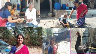 || VLOG || మా ఊరిలో నాటుకోడి cutting Vlog || Chicken cutting || Hasini Rachapudi