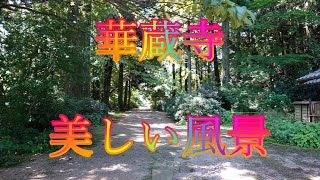 観光気分 8月19日 金曜 晴れ 涼しくなって 華蔵寺の美しい風景 島根県松江市枕木町 枕木山 華蔵寺