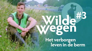 Het verborgen leven in de berm | Wilde Wegen #3