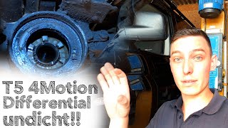 VW T5 4Motion Differential Wellendichtring Simmerring tauschen // Die Haldex bekommt neues Öl