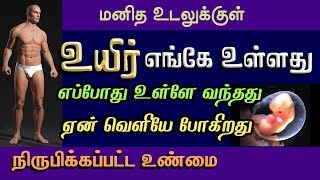 மனிதஉடலில் உயிர் எங்கே உள்ளது எப்போது உடலுக்குள் வந்தது ஏன் வெளியேபோகிறது கிறிஸ்தவ பைபிள் விளக்கம்