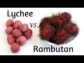 Lychee vs Rambutan |Tropical Fruit